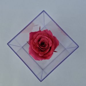 SRIforever Pink Rose Acrylic Square Box