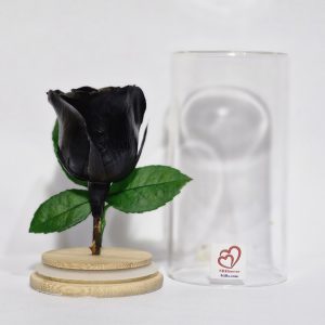 SRIforever Black Rose round glass