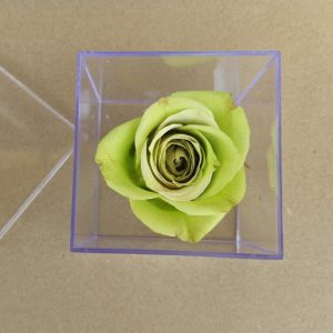 SRIforever Green Rose Acrylic Square Box