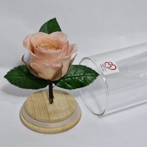 SRIforever Peach Rose round glass