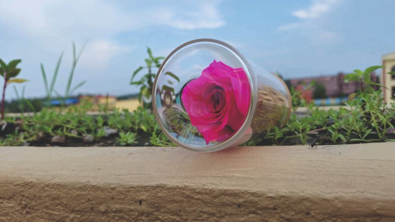 SRIforever Gifts: Preserving Emotions, One Flower at a Time