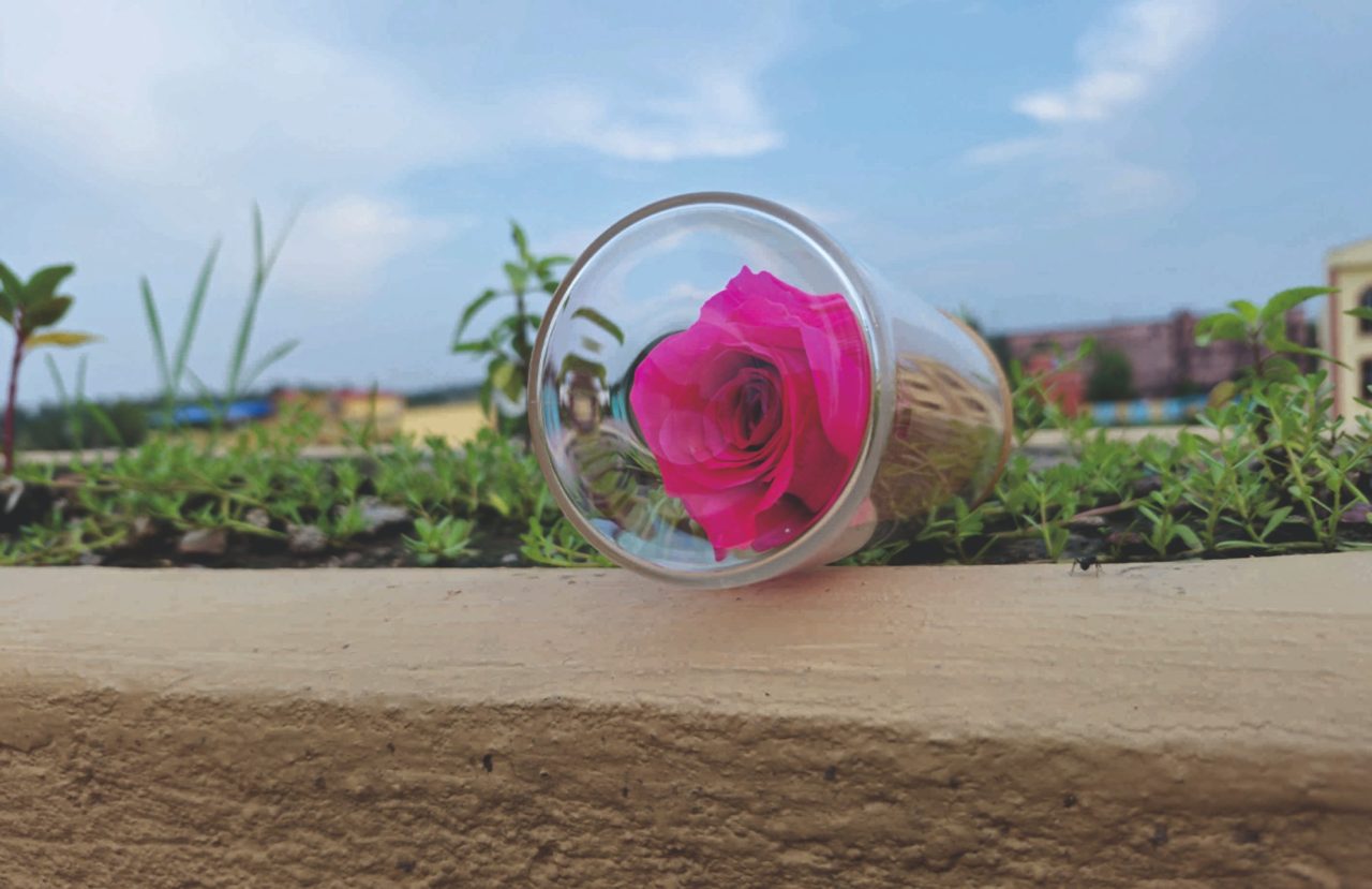 SRIforever Gifts: Preserving Emotions, One Flower at a Time