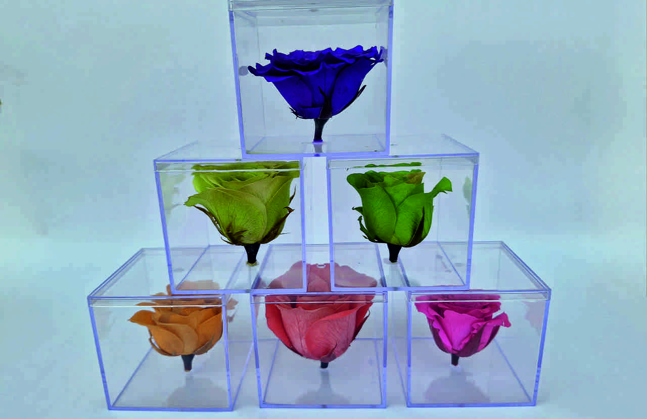 SRIforever Gifts: Preserving Emotions, One Flower