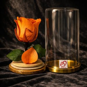 SRIforever Yellow Rose round glass