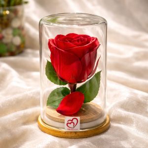 SRIforever Red Rose round glass
