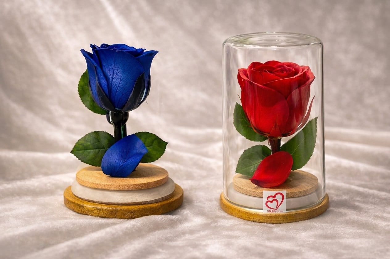 Deal On SRIforever Gift This Rainy day